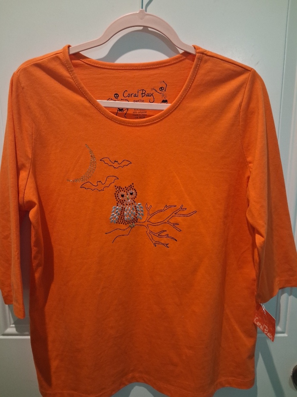 NWT ADORABLE CORAL BAY PETITE LARGE COTTON EMBELLISHED OWL FALL/HALLOWEEN TOP!